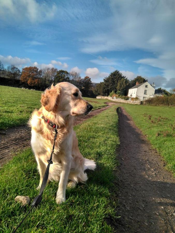 The Old Rectory Bed & Breakfast Abergavenny Luaran gambar